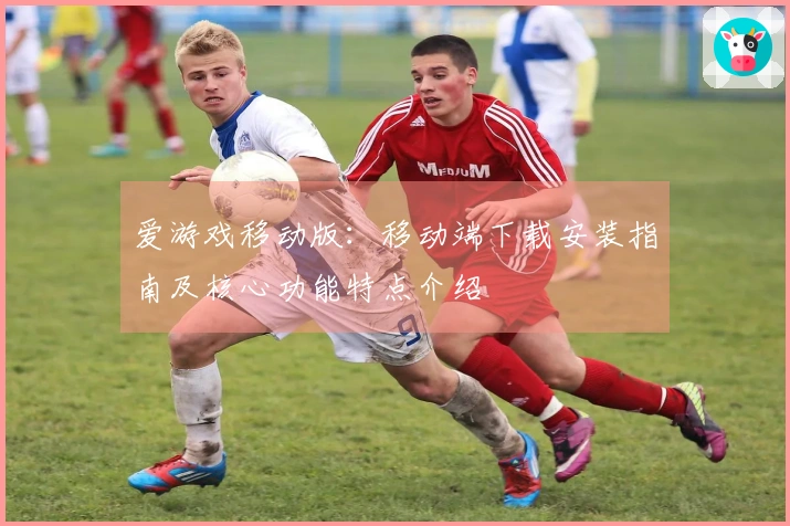 爱游戏移动版：移动端下载安装指南及核心功能特点介绍