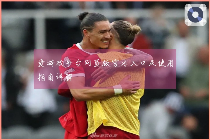 爱游戏平台网页版官方入口及使用指南详解